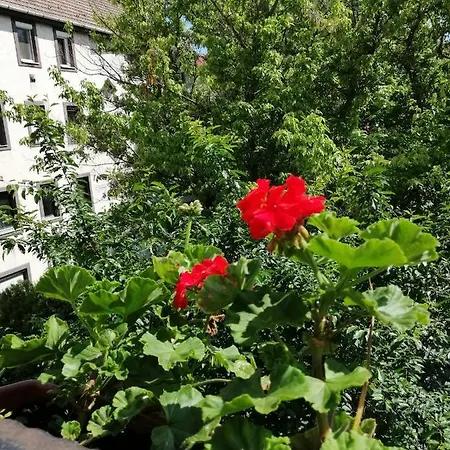 édes Otthon Apartman